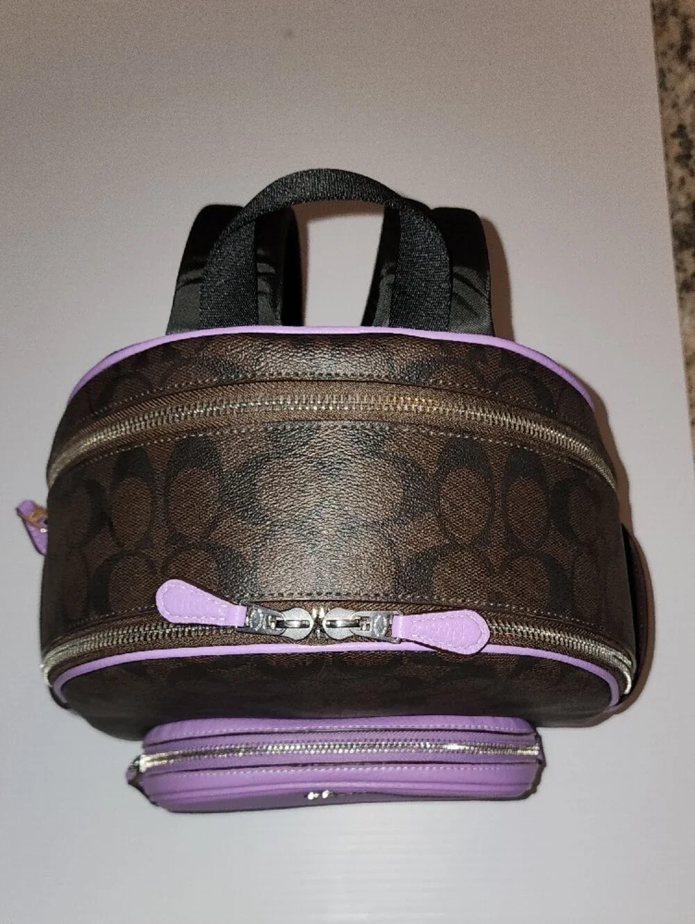 Coach Court Signature Canvas Mini Backpack in Lavender and Brown. E2321-6671.